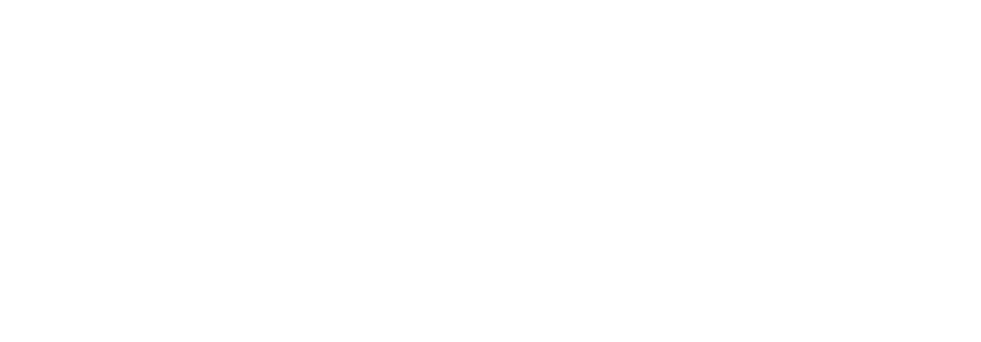 Software Agency - Marche Tech Studio